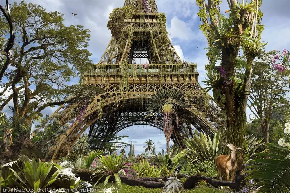 "Paris #4 Make Our Planet Great Again", 2017.