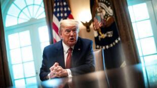 美国总统特朗普资料图片