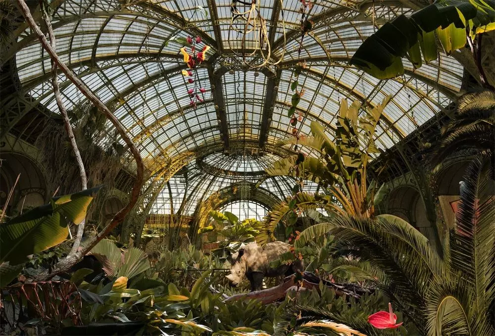 "Paris, Jungle Grand Palais", 2016.