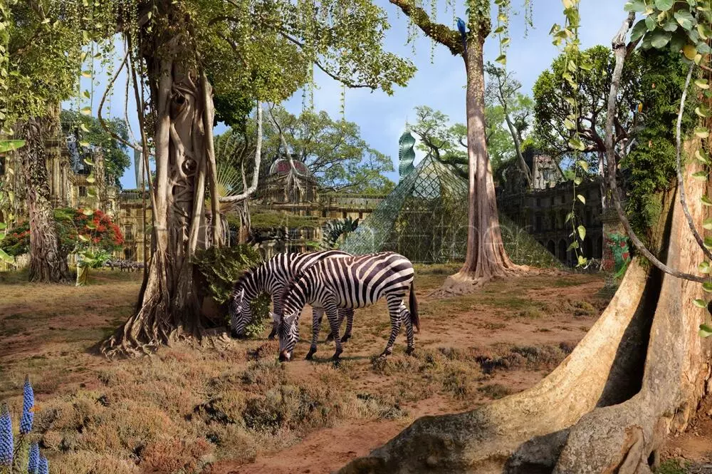 "Paris, Louvre Lianes", 2015.