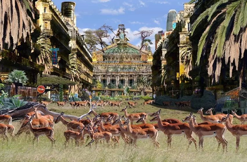 "Paris, Opera Garnier Ballet", 2012.