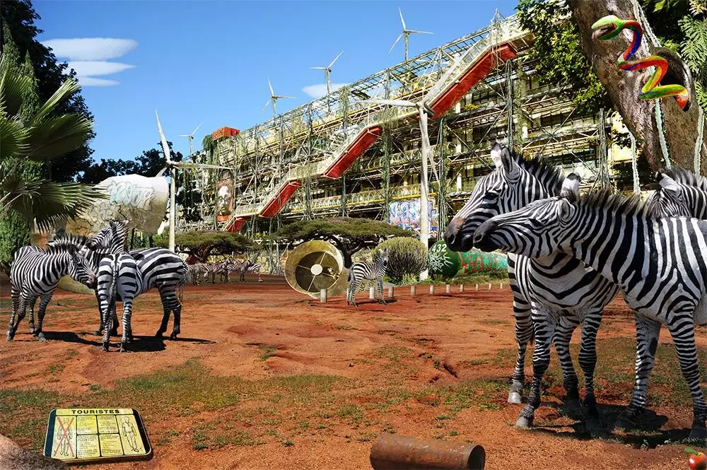 "Paris, Pompidou Savanes", 2011.