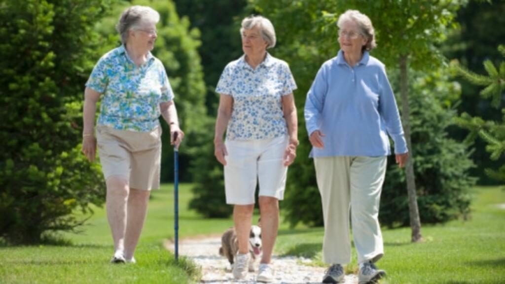 Robôs inteligentes visam manter idosos morando mais tempo em casa com autonomia