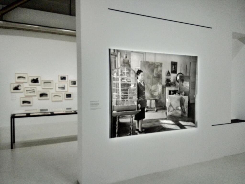 アート・デザイン・音楽 Dora Maar   exhibition book Dora Maar | Exhibition Catalog · Centre Pompidou Online Shop