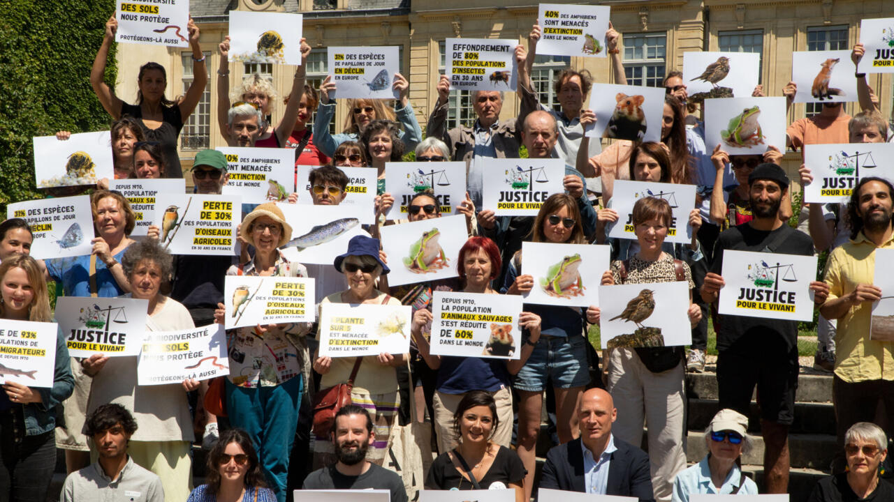 La France condamnée à revoir ses procédures d’autorisation des pesticides