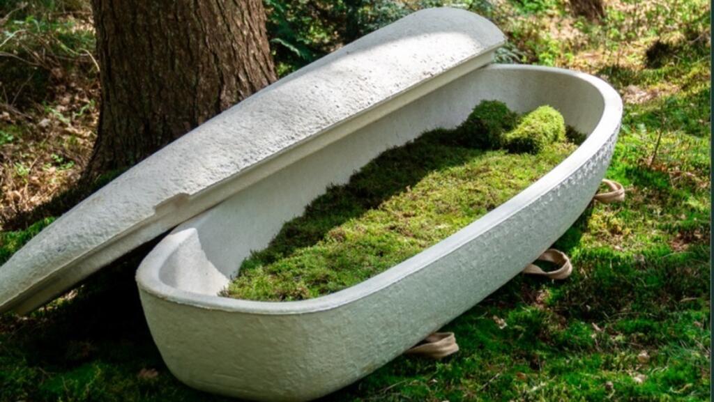 Sicriu din ciuperci / „Living Cocoon”. În Olanda, start-up-ul Loop Biotech produce sicrie „vii”. Acestea sunt confecționate din miceliu de ciuperci, care accelerează descompunerea și absorb metalele grele din corp.