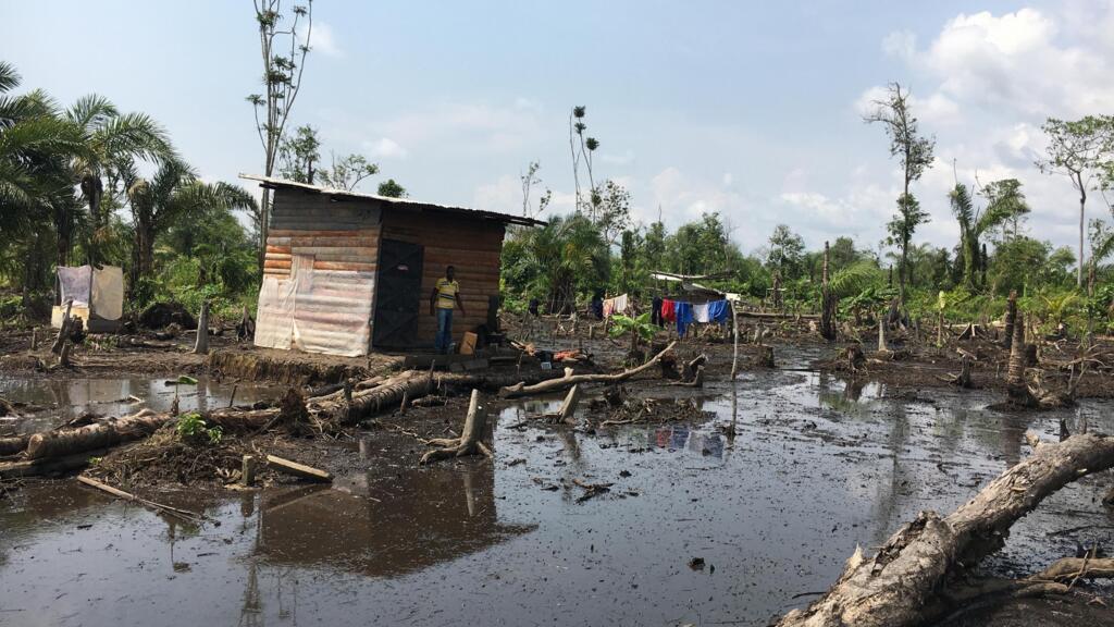 Le camp de Bonabome un camp de déplacés internes à Douala. Les cabanes de bois éparses dans le marécage.