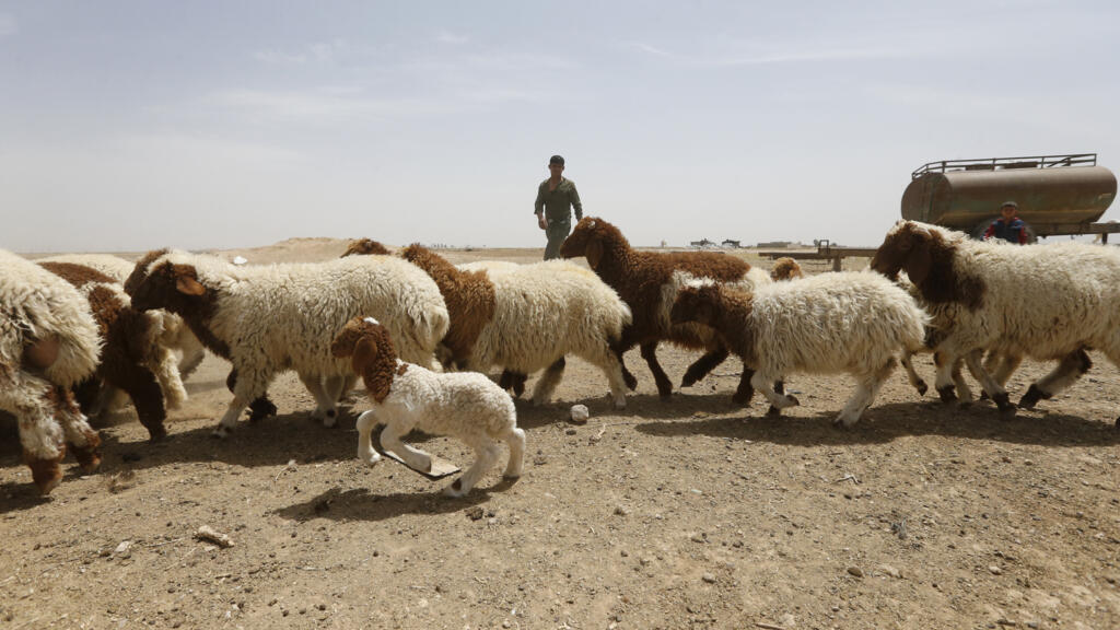 Syrie: face à la possible résurgence de l'EI, des civils s'organisent