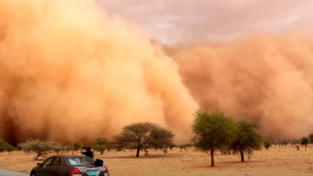 Les tempêtes de sable et de poussière sont des phénomènes météorologiques qui surviennent lorsque des vents forts soulèvent dans l'atmosphère de grandes quantités de sable et de poussière d'un sol sec et nu.
