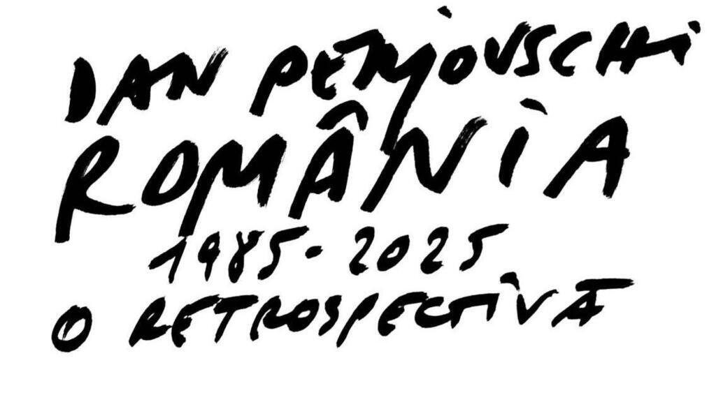 Expozitia Retrospectiva Dan Perjovschi