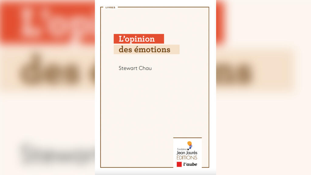 «L'opinion des émotions», de Stewart Chau.