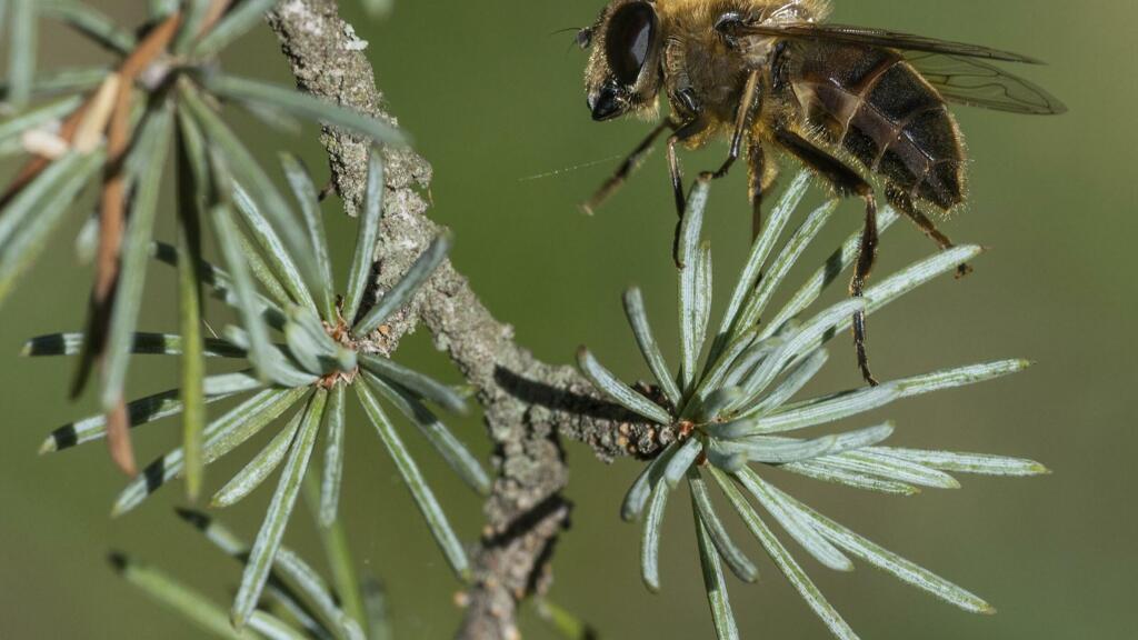 France: une universit&eacute; populaire pour mieux prot&eacute;ger la biodiversit&eacute;