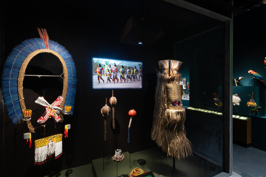 Vitrine da exposição "Amazônias", no museu des Confluences, em Lyon.