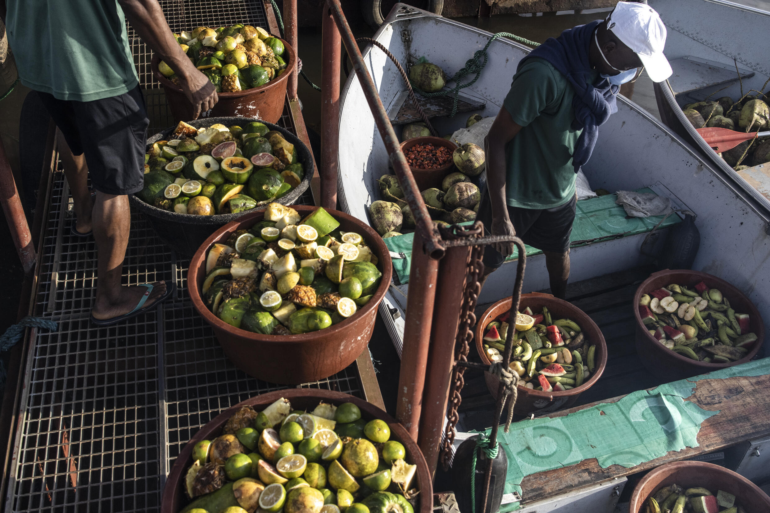 After life of trauma, Liberian lab chimps settle into retirement