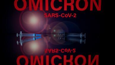 Ảnh minh họa: Biến thể Omicron của Covid-19 được phát hiện lần đầu tiên tại Nam Phi, hồi tháng 11/2021.