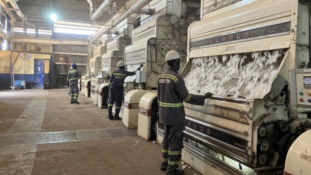 Des ouvriers à leur poste devant les machines d'égrainage à Garoua, le 30 avril 2025.