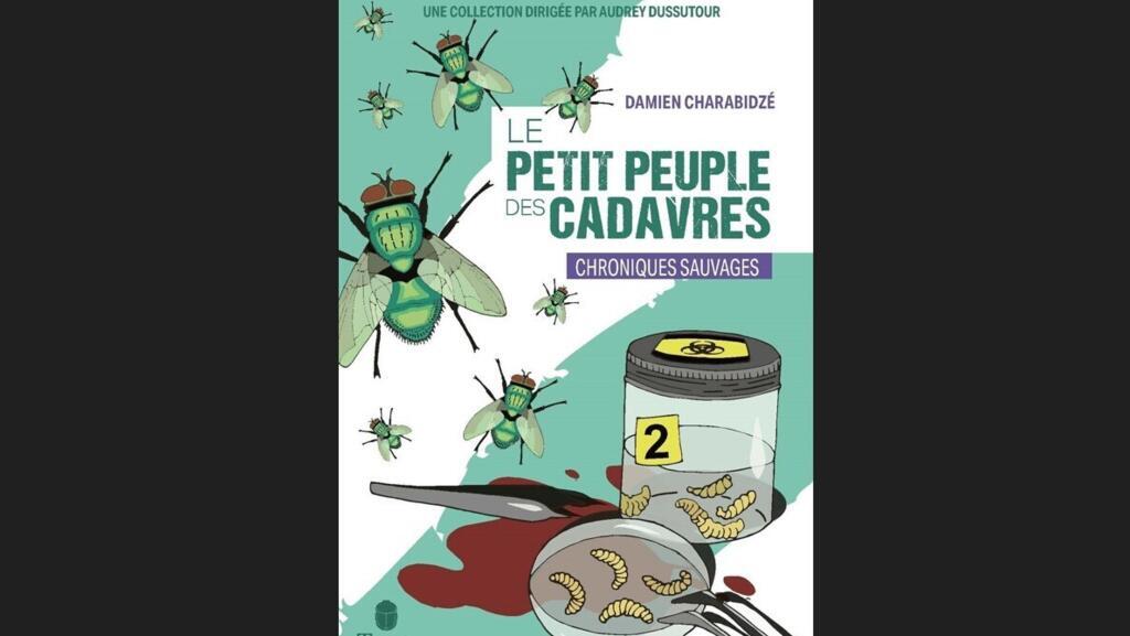 Comment faire parler les asticots ?