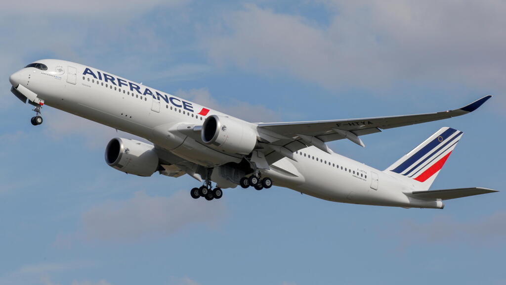 Un avion de la compagnie Air France. (image d'illustration)