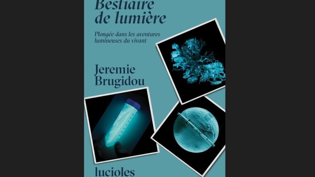 Bestiaire de lumière.