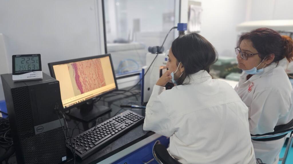 Tests cellulaires au centre de recherche de Patanjali.
