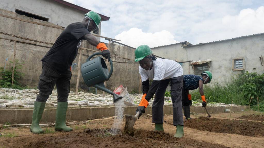 Côte d'Ivoire: le Potager du Futur sensibilise à l'agriculture durable petits et grands