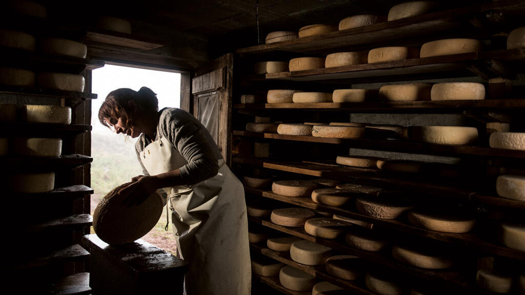 Fromages sauvages.