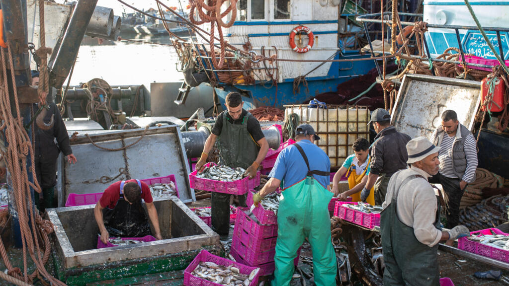 Le nouvel accord commercial UE-Maroc comprenant les produits du Sahara occidental divise