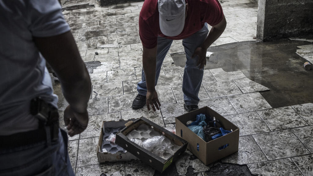 Comment le crime organisé se développe sur le continent africain, selon l'ONG GI-TOC