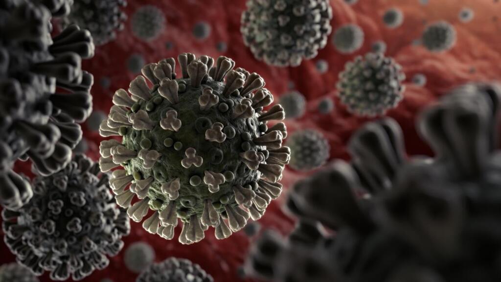 Le virus du Covid-19 ou nouveau coronavirus n'avait encore jamais été identifié chez l'être humain (illustration).