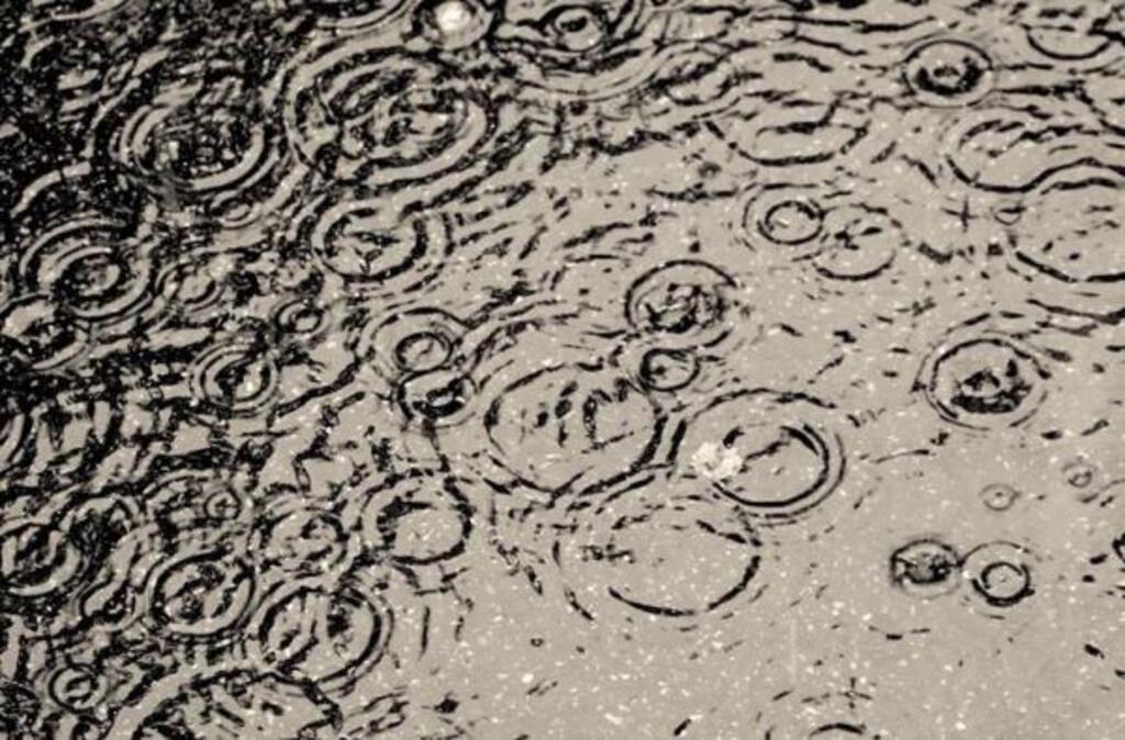 Vivre en noir et blanc est une métaphore qu'utilisent souvent les anosmiques pour expliquer leur quotidien. «C’est quelque chose que je n’ai jamais compris, quand les gens parlent de l’odeur de la pluie» assure Maxime, anosmique de naissance.