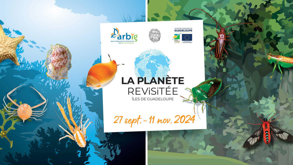 La planète revisitée, un programme d’explorations qui recense la biodiversité des régions les plus riches du monde. 