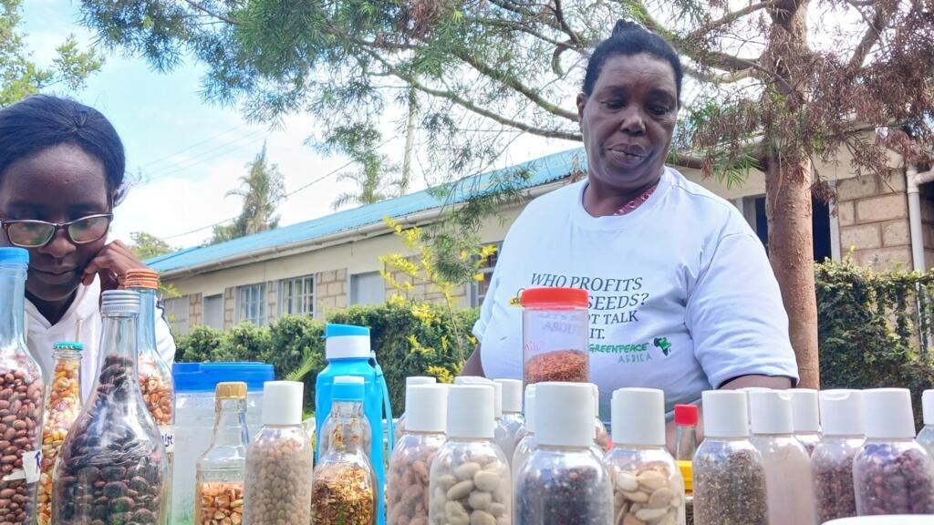 Kenya: la justice déclare illégale une loi sur les semences, une première en Afrique