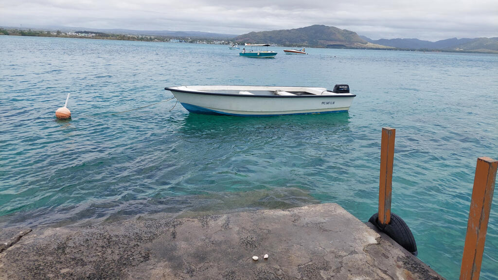 Avec le dérèglement climatique, plus de 57% de la faune endémique aurait déjà disparu en l’espace de 50 ans sur l'île Maurice.