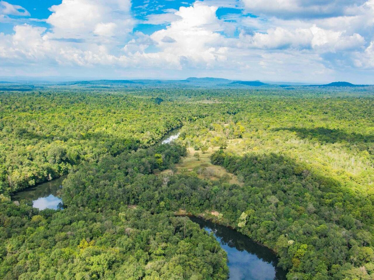 រដ្ឋាភិបាល​កាត់ដី​ឧទ្យានជាតិ​បុទុមសាគរ​១៦៨​ហិកតា  ​ជួលឲ្យយ​ក្រុមហ៊ុនឯកជន​សាងសង់​រោងចក្រ​អគ្គិសនី​ធ្យូងថ្ម