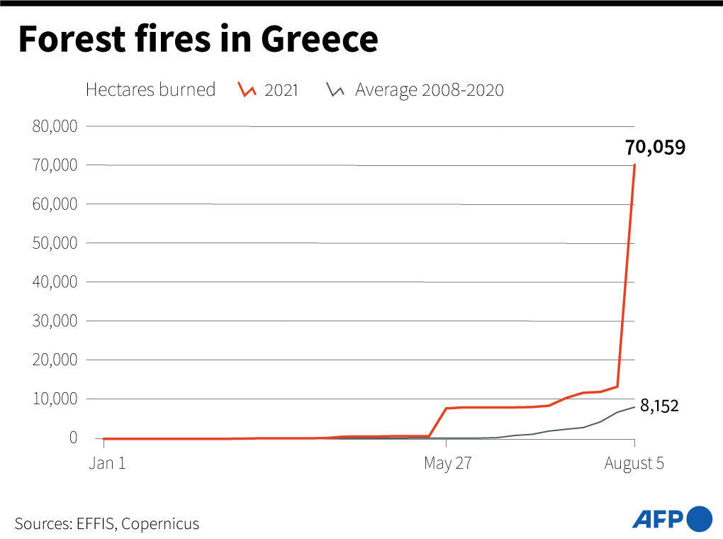 Firefighters try to contain wildfire destruction on Greek island RFI