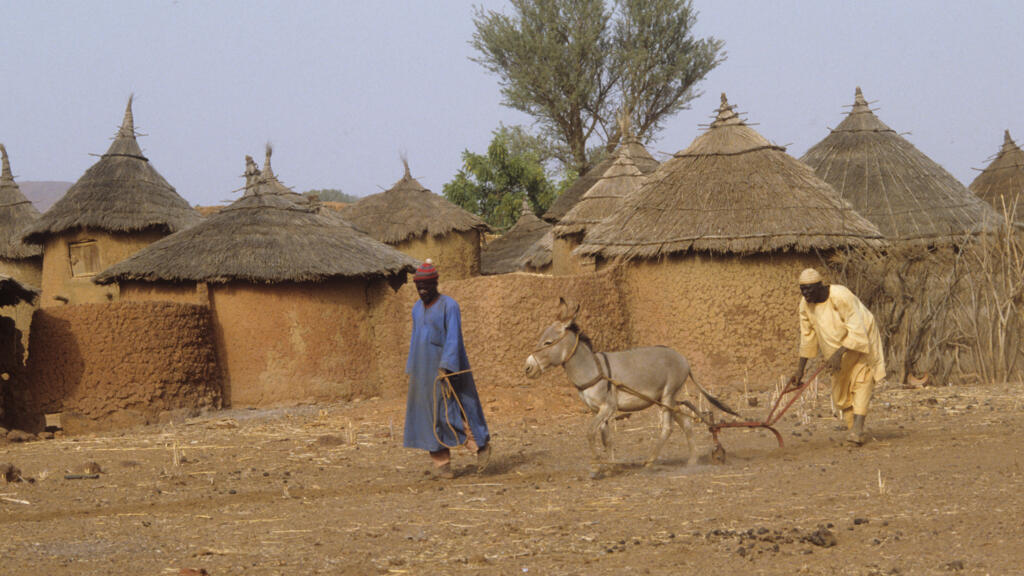 Des agriculteurs bukinabès (image d'illustration).