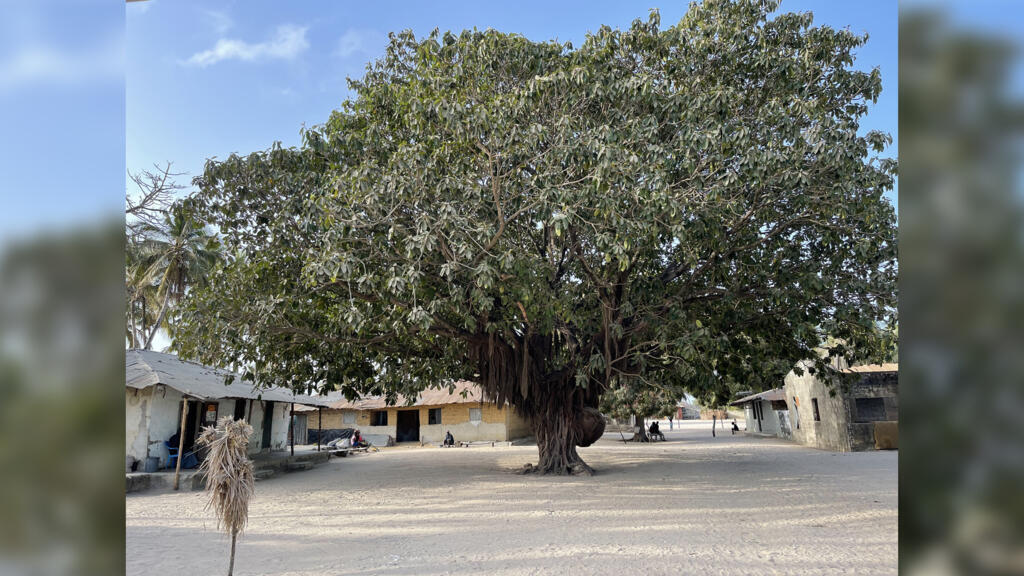 La place du village de Boune, situé dans les îles du Bliss au cœur de la réserve.