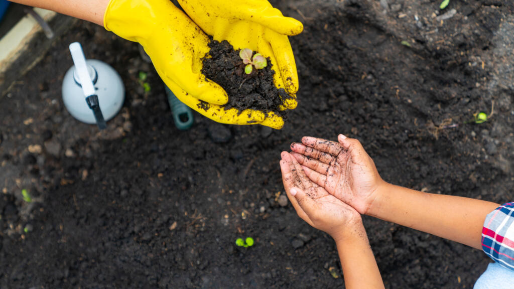 Comment former efficacement à l'écologie ?