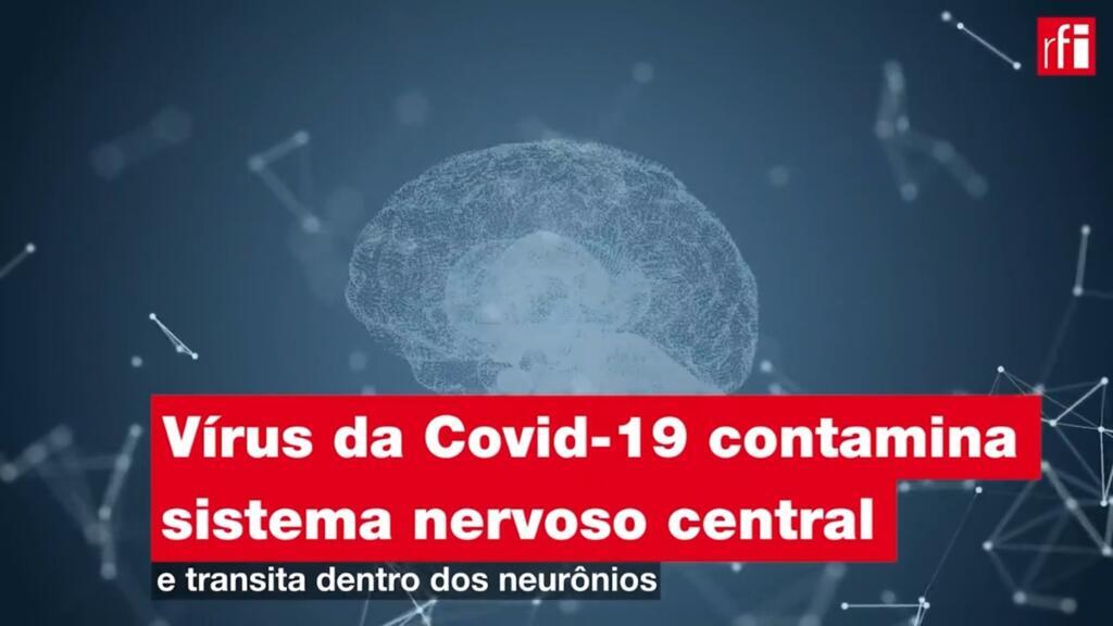 Vírus da Covid-19 contamina sistema nervoso central e transita dentro dos neurônios
