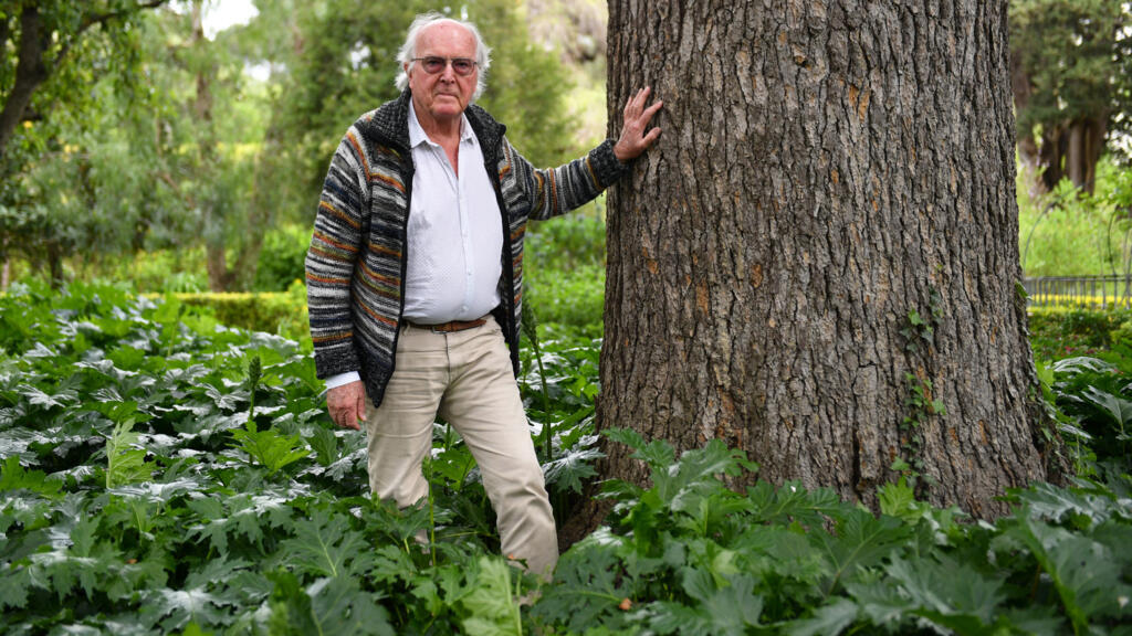 France: décès de Francis Hallé, ardent défenseur des forêts tropicales primaires