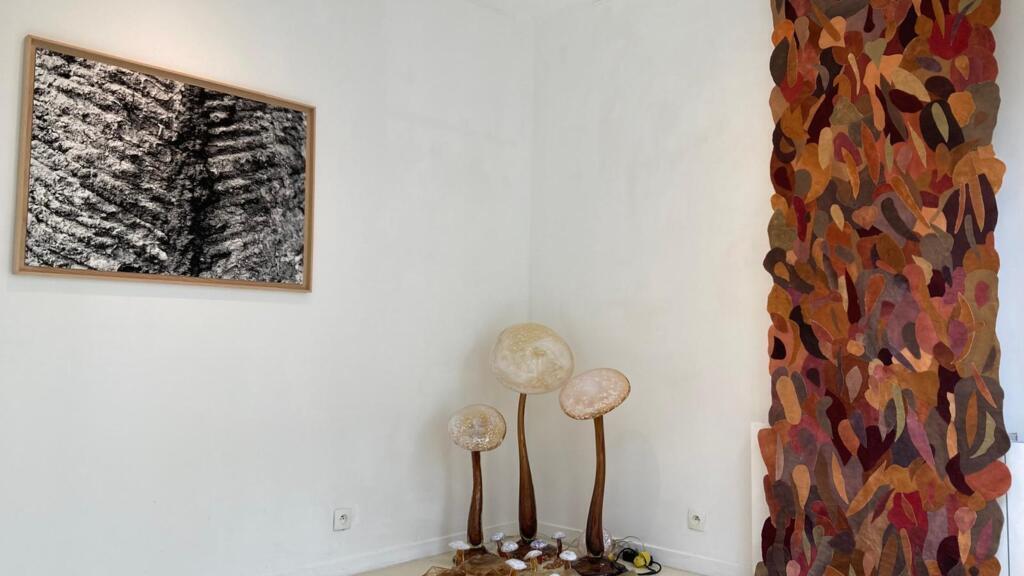 Exposição "Tthe Collector's House" no Espaço Frans Krajcberg, em Paris.