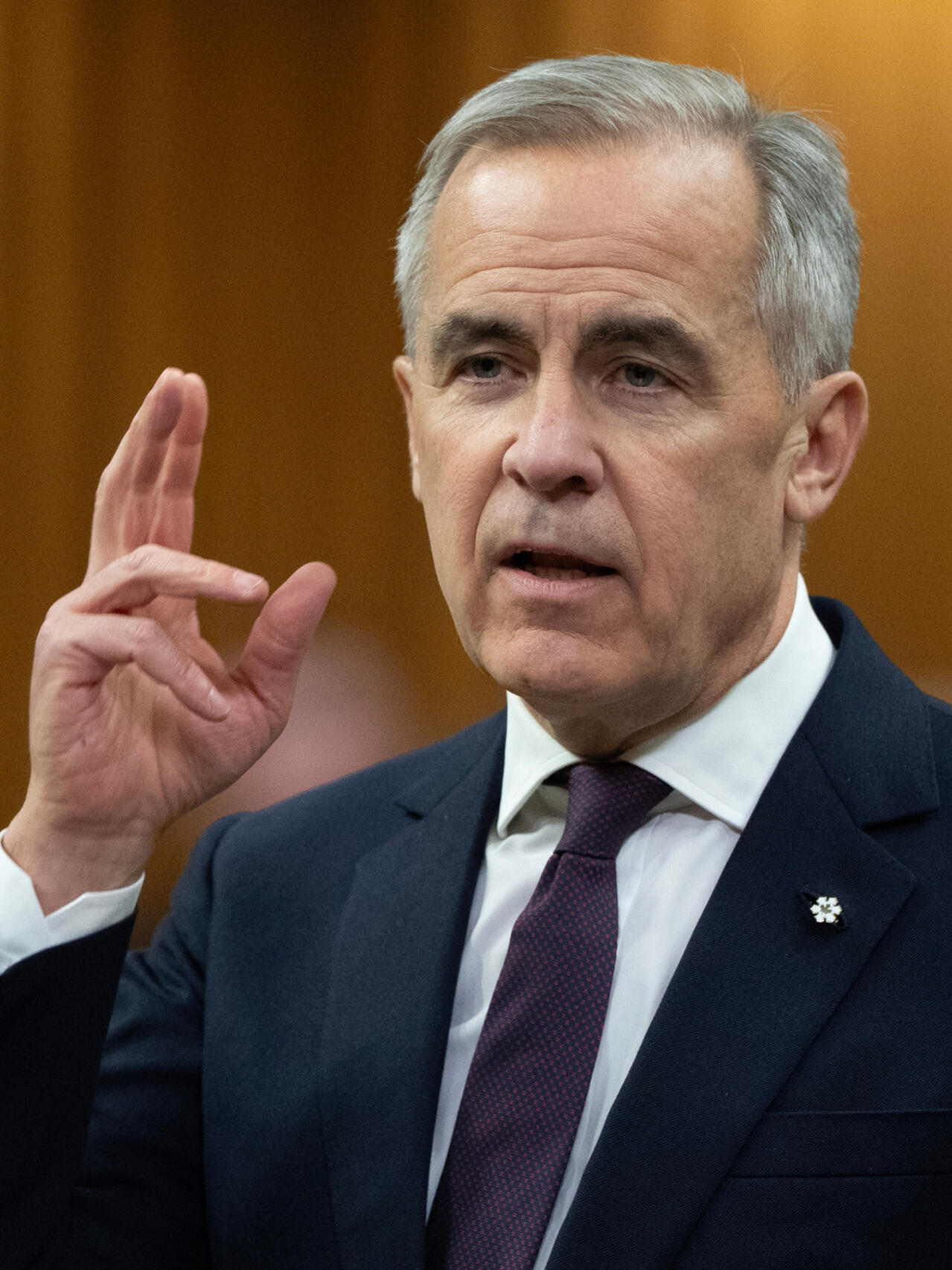 Canada trông cậy vào châu Á để đa dạng hóa thị trường xuất ...