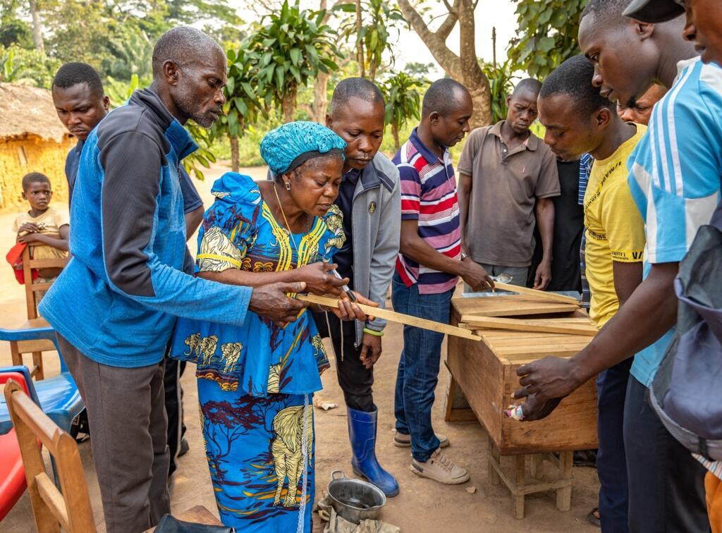 Fabrication et installation des ruches en RDC, province de la Mongala