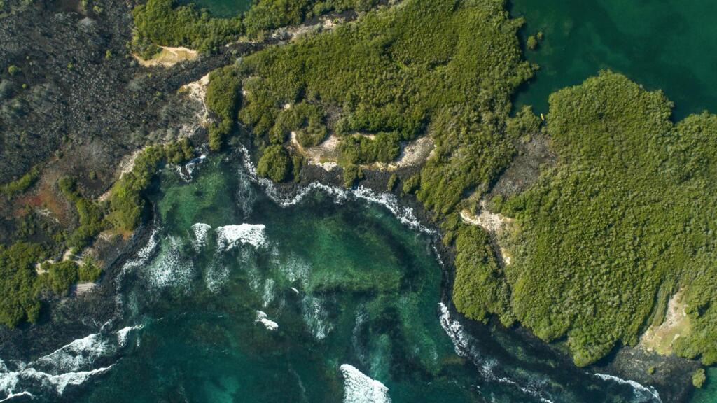 Vue aérienne de la région de la baie de Tortuga, sur l'île de Santa Cruz, aux Galapagos, située dans l'océan Pacifique.