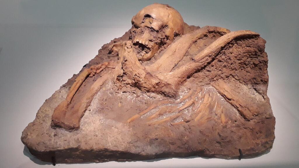 Ce que l'archéoanthropologie nous apprend sur le handicap et la solidarité humaine