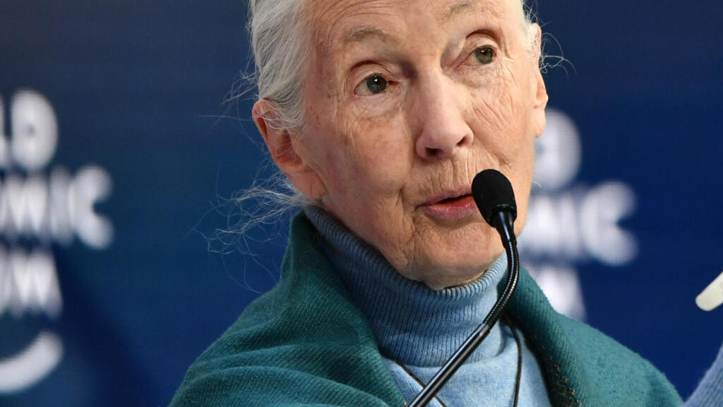 La primatologue britannique Jane Goodall au Forum économique de Davos, en Suisse, le 22 janvier 2020.