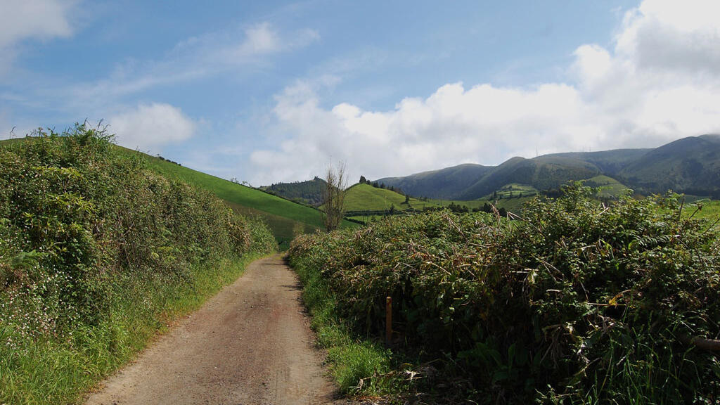 Des paysages de bocage propices à l’élevage bovin pour le lait.
