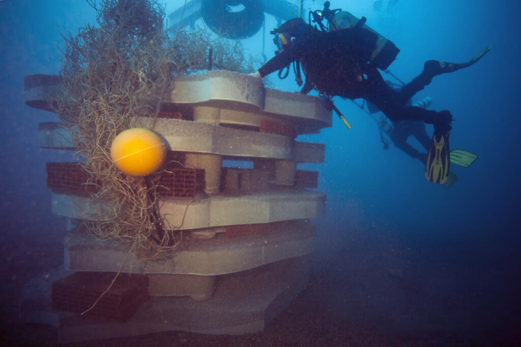 Un plongeur inspecte les nouveaux récifs artificiels du projet Rexcor (Restauration écologique expérimentale des fonds côtiers de la calanque de Cortiou) dans la zone de Cortiou, à 20 mètres de profondeur au large de la ville de Marseille, le 30 janvier 2018.
