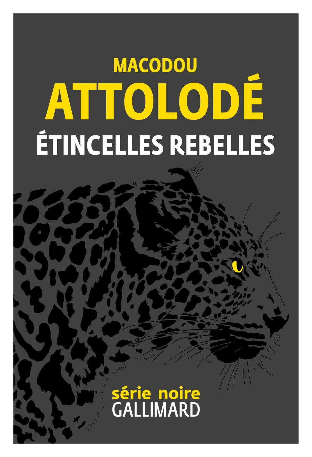 Etincelles rebelles de Macodou Attolodé