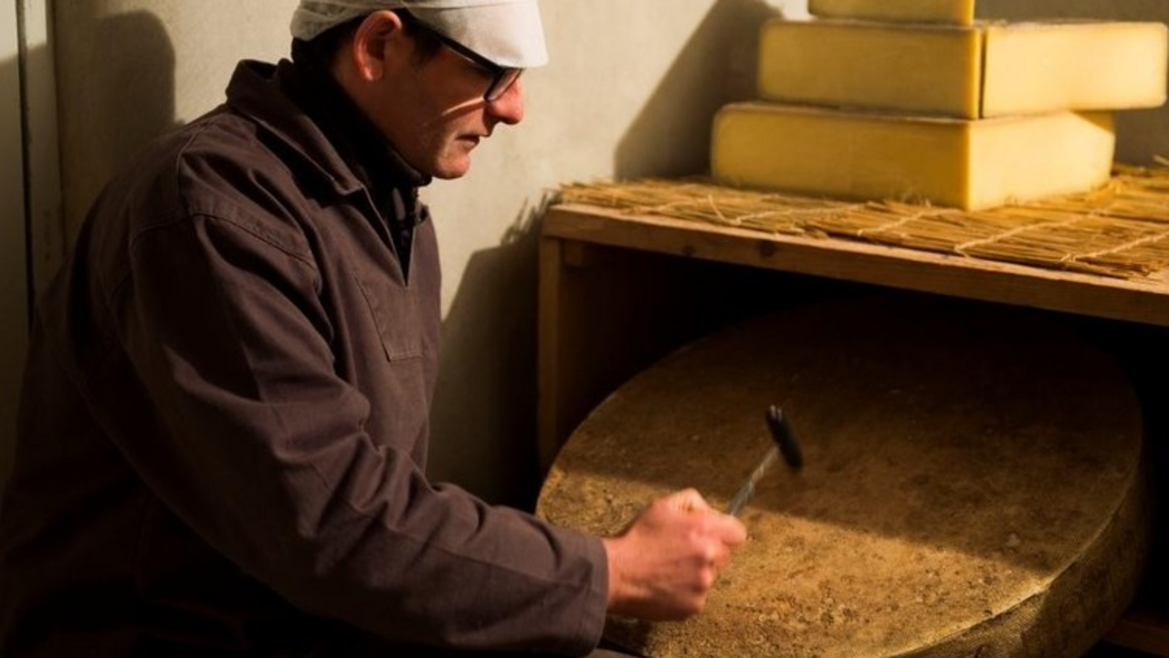 Ageing cheese, postnatal body care, French bassoonist jobs Made in